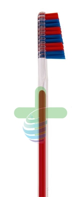 Tau Marin Linea Scalare 33 Testina Grande Spazzolino da Denti Setole Dure