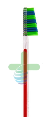 Tau Marin Linea Scalare 33 Testina Grande Spazzolino da Denti Setole Medie