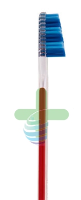 Tau Marin Linea Scalare 33 Testina Grande Spazzolino Denti Setole Morbide